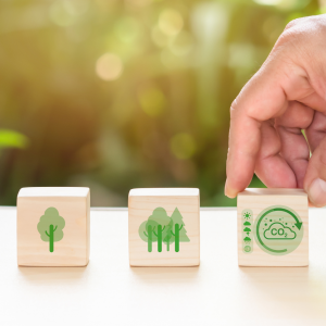 Curso de Gestión Del Cambio Climático