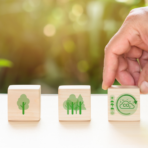 Curso de Gestión Del Cambio Climático