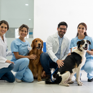 Manejo y Desarrollo Animal