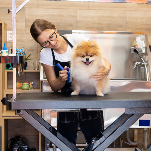 Curso de Peluquería Canina
